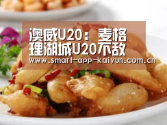 澳威U20: 麦格理湖城U20不敌新城堡联队U18 终场比分2:1‘开云官网导航’(图2) 开云官网