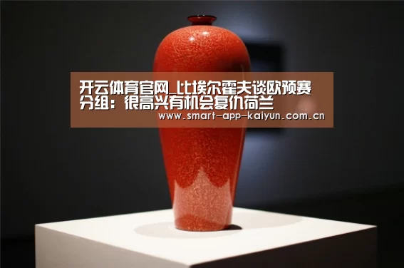 开云官网导航