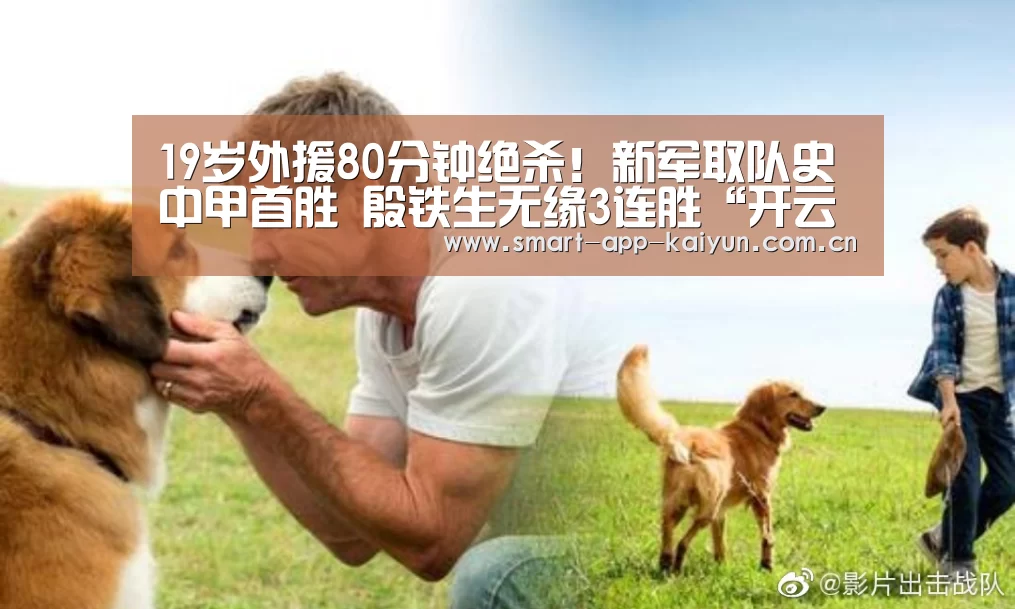 开云体育官网