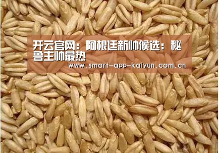 开云官网